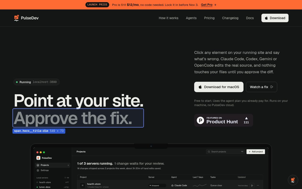 PulseDev screenshot